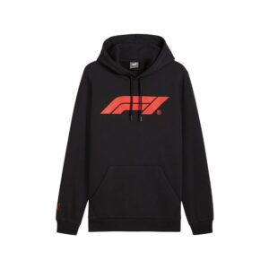 Hoodie Primary Logo Graphic Hoodie