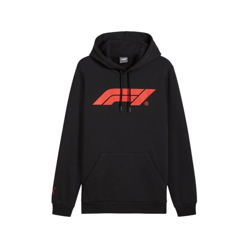 Hoodie Primary Logo Graphic Hoodie